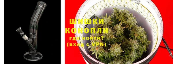 прущие крисы Елизово