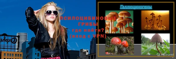 метадон Ельня