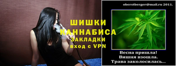 метадон Ельня