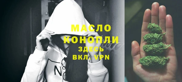 метадон Ельня