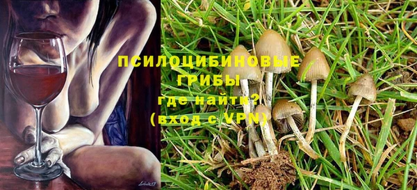 метадон Ельня