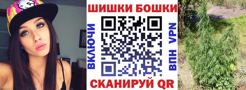 Бошки Шишки планчик  продажа наркотиков  omg   Светлый 